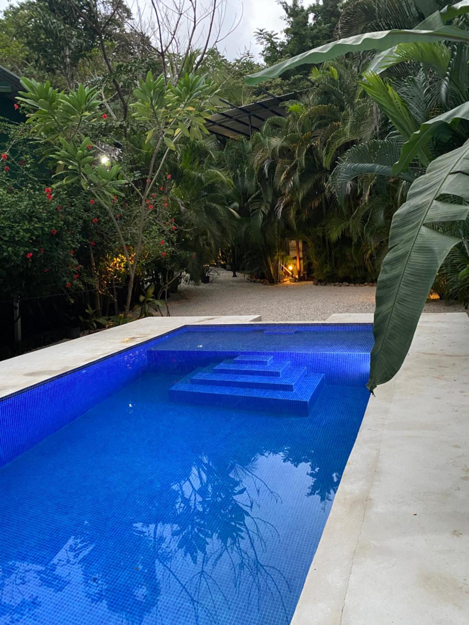 Nahele Lodge Playa Santa Teresa  외부 사진